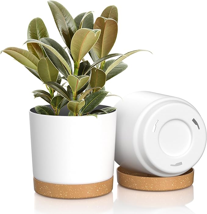 8 inch Plant Pots, Plastic Planter with Drainage Hole and Saucer, A Set of 2 Flower Pots for Indoor, Outdoor, House Plants, Succulents, Flowers (White)