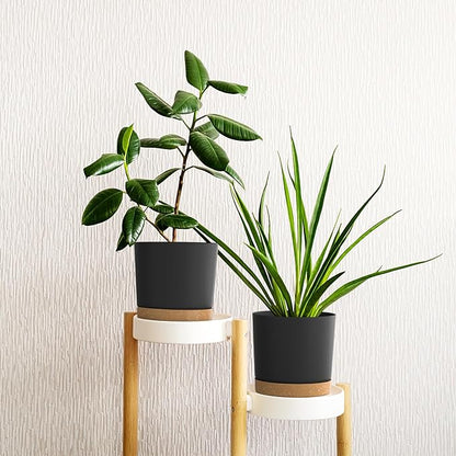 6.5inch Plant Pots, Plastic Planter with Drainage Hole and Saucer, A Set of 2 Flower Pots for Indoor, Outdoor, House Plants, Succulents, Flowers