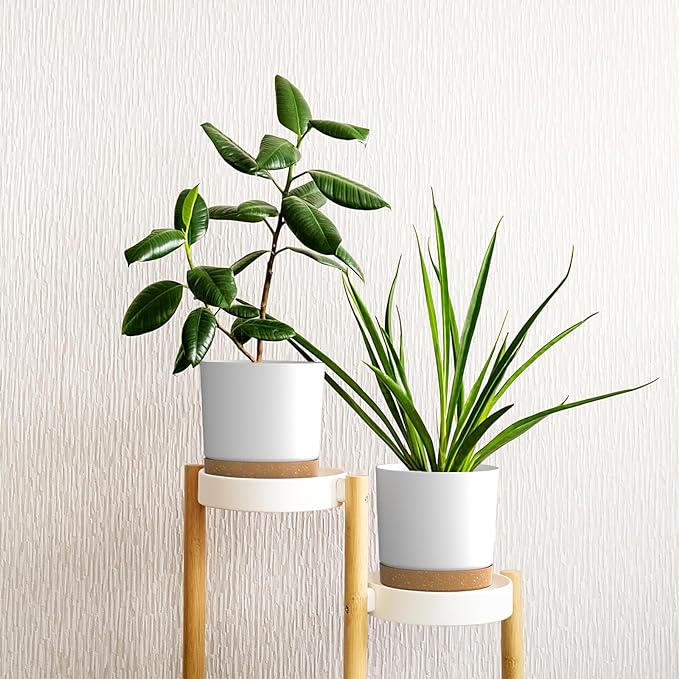 8 inch Plant Pots, Plastic Planter with Drainage Hole and Saucer, A Set of 2 Flower Pots for Indoor, Outdoor, House Plants, Succulents, Flowers (White)