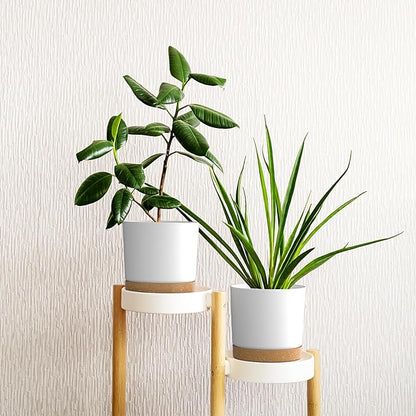 8 inch Plant Pots, Plastic Planter with Drainage Hole and Saucer, A Set of 2 Flower Pots for Indoor, Outdoor, House Plants, Succulents, Flowers (White)