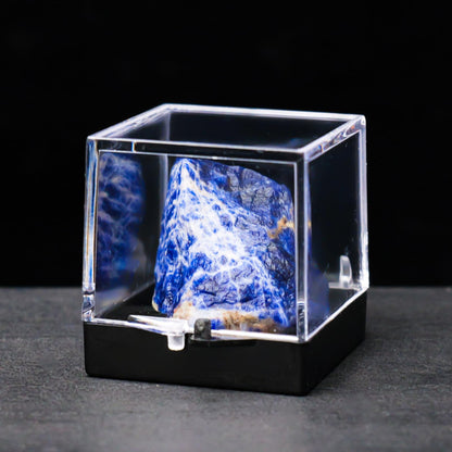 12pcs Mineral Standard Display Box Display Shelves Packing Collectible Pad Organizers Single Cupcake Boxes Asian Mineral Specimen Storage Bulb Containers with Lids Stash Plastic acrylic