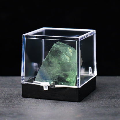 12pcs Mineral Standard Display Box Display Shelves Packing Collectible Pad Organizers Single Cupcake Boxes Asian Mineral Specimen Storage Bulb Containers with Lids Stash Plastic acrylic